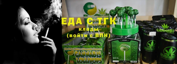 индика Бородино