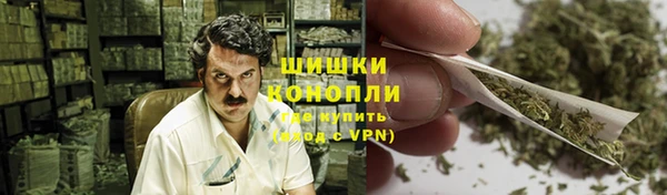 индика Бородино