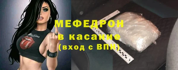 индика Бородино