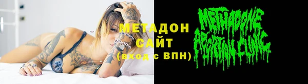 индика Бородино
