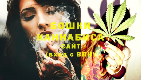 индика Бородино