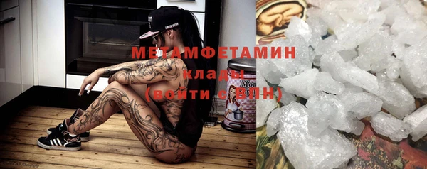 индика Бородино