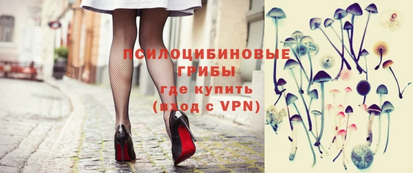 индика Богородск