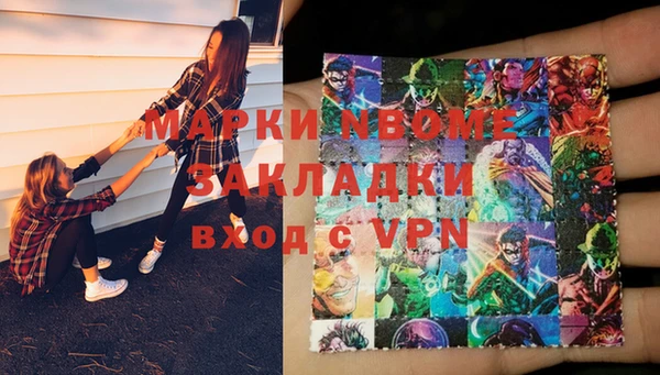 индика Бородино