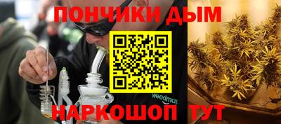 jwh Кингисепп