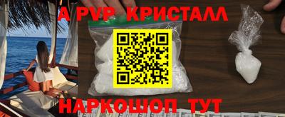 jwh Кингисепп