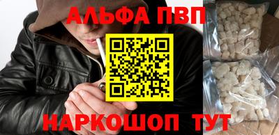 jwh Кингисепп