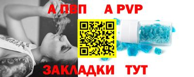 jwh Кингисепп