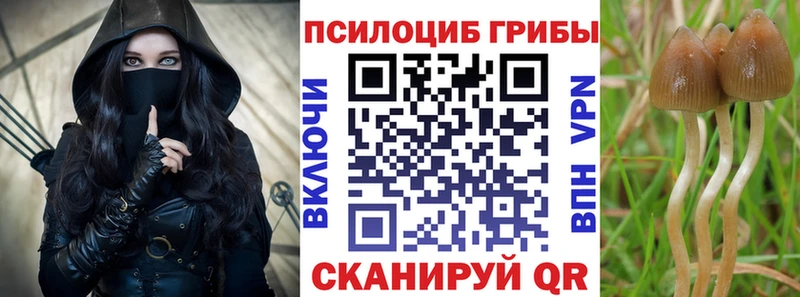 закладка  Наро-Фоминск  Псилоцибиновые грибы GOLDEN TEACHER 