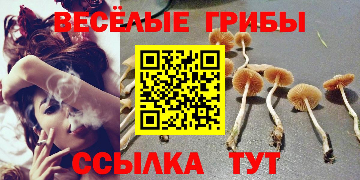 Галлюциногенные грибы ЛСД Наро-Фоминск