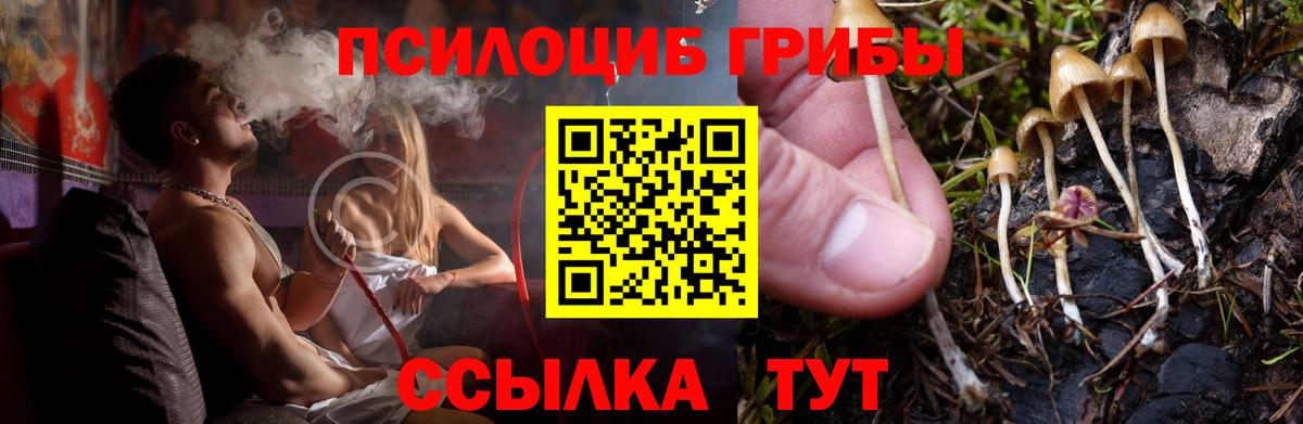 Наро-Фоминск  Псилоцибиновые грибы ЛСД  Вход с VPN 